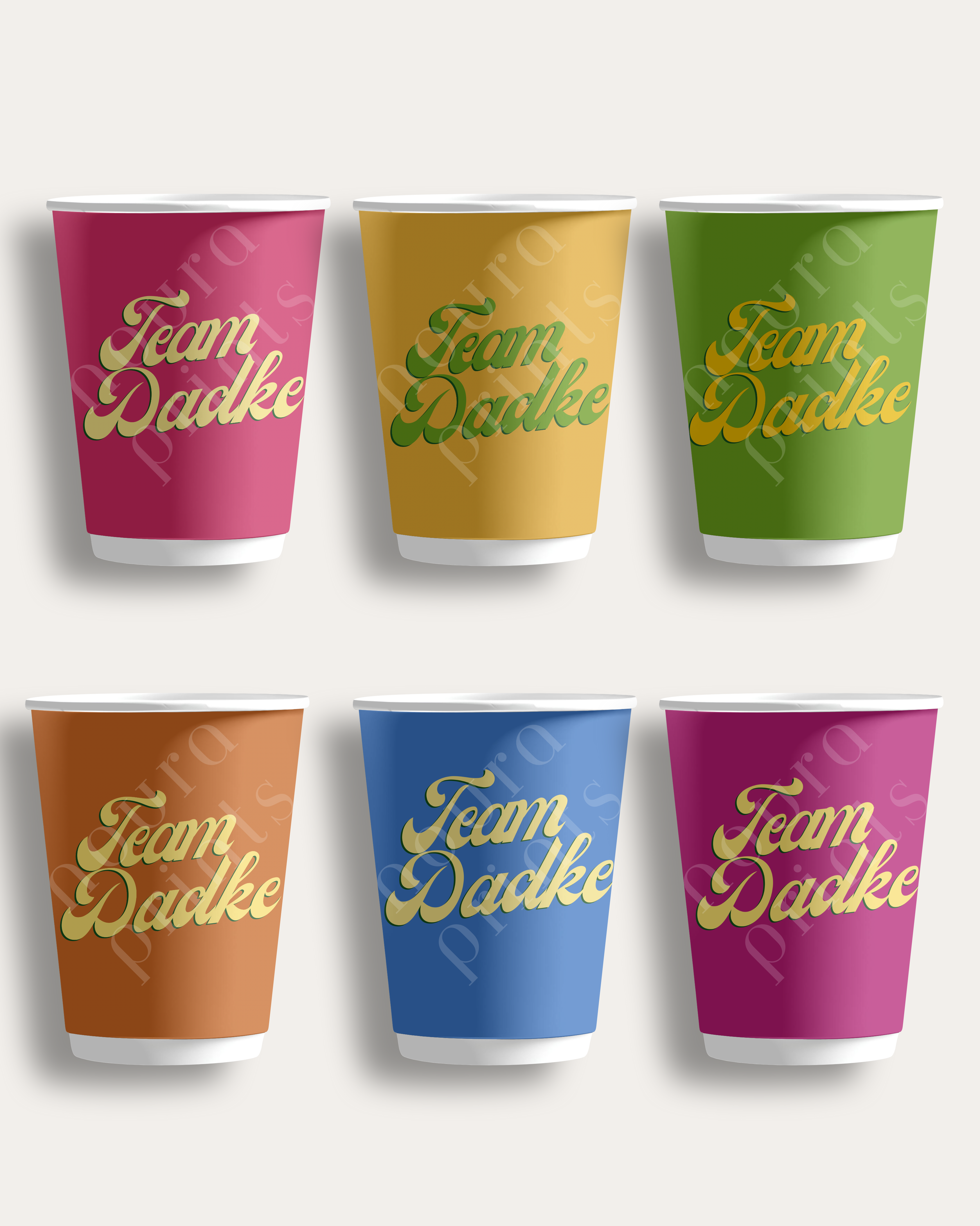 Team Dadke Vibrant Set